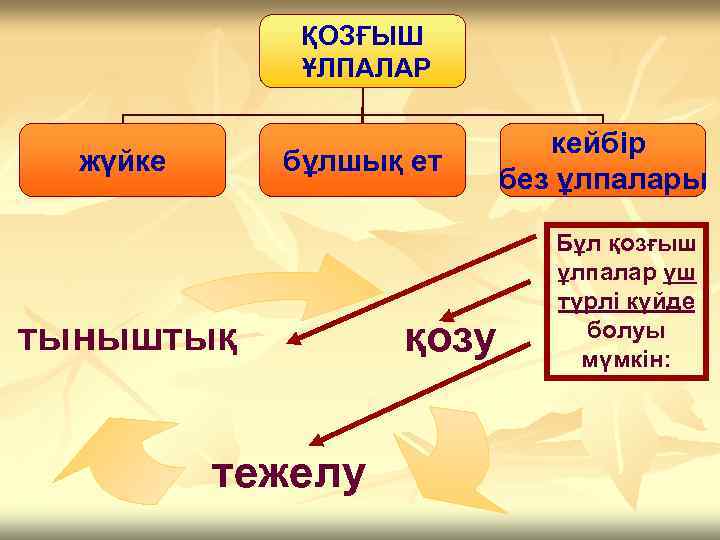    ҚОЗҒЫШ   ҰЛПАЛАР      кейбір 