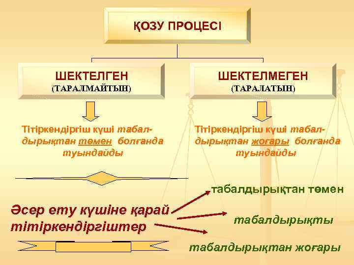      ҚОЗУ ПРОЦЕСІ  ШЕКТЕЛГЕН   ШЕКТЕЛМЕГЕН  (ТАРАЛМАЙТЫН)