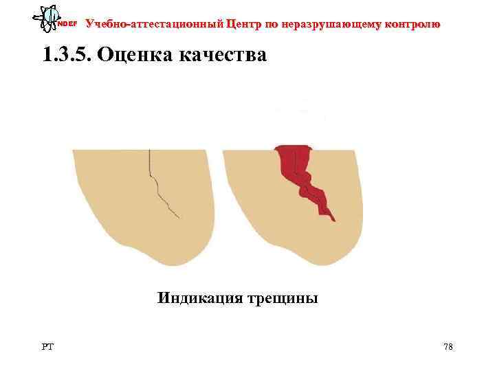  NDEF  Учебно-аттестационный Центр по неразрушающему контролю 1. 3. 5. Оценка качества 