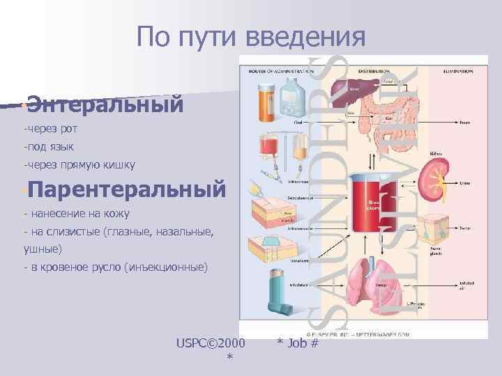     По пути введения  • Энтеральный • -через рот •