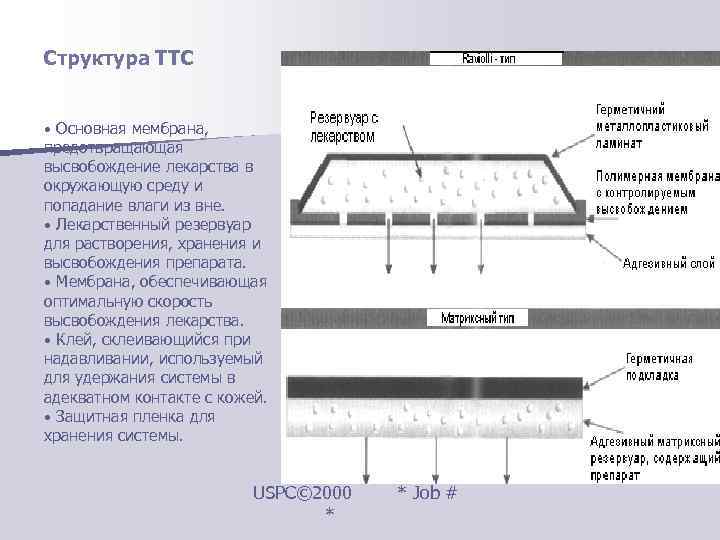 Структура ТТС  • Основная мембрана,  предотвращающая высвобождение лекарства в окружающую среду и