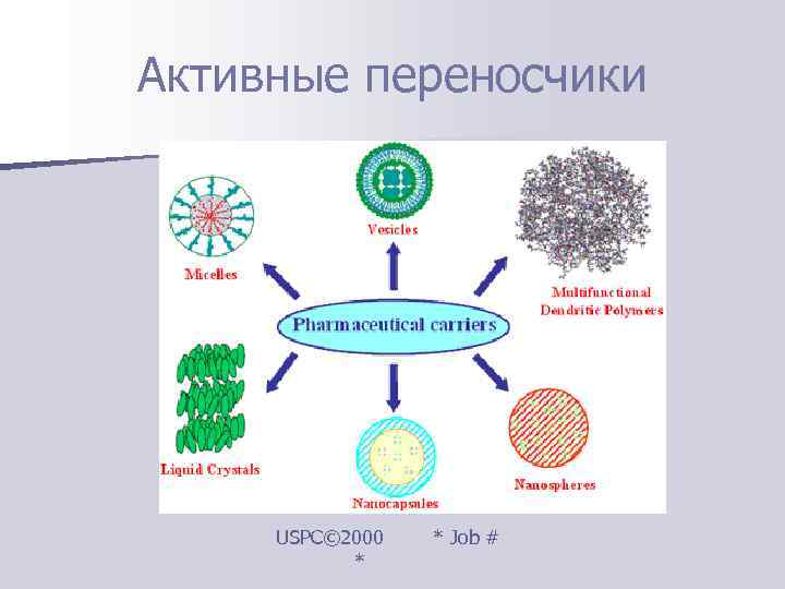 Активные переносчики   USPC© 2000  * Job #  * 