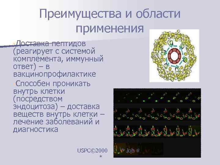  Преимущества и области   применения • Доставка пептидов (реагирует с системой комплемента,