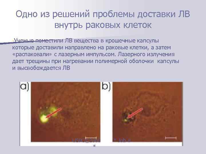  Одно из решений проблемы доставки ЛВ  внутрь раковых клеток • Ученые поместили