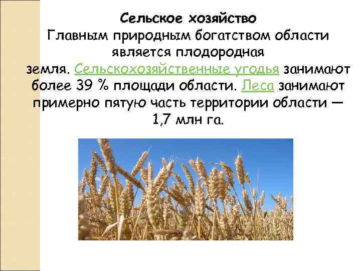    Сельское хозяйство  Главным природным богатством области   является плодородная