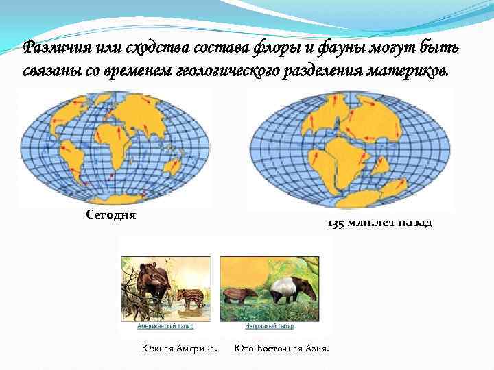 Различия или сходства состава флоры и фауны могут быть связаны со временем геологического разделения
