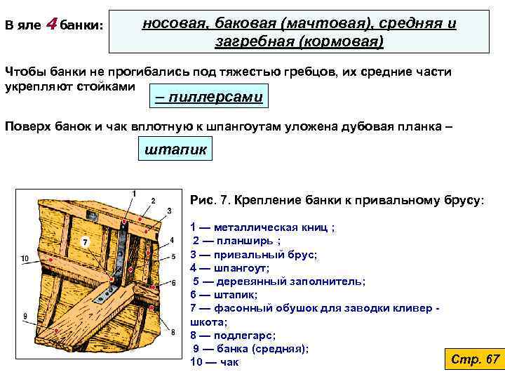 В яле  4 банки:  носовая, баковая (мачтовая), средняя и   