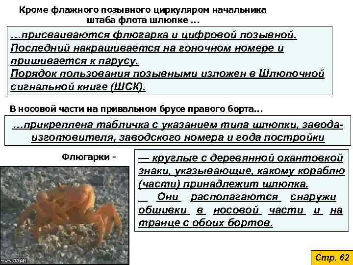  Кроме флажного позывного циркуляром начальника   штаба флота шлюпке … …присваиваются флюгарка