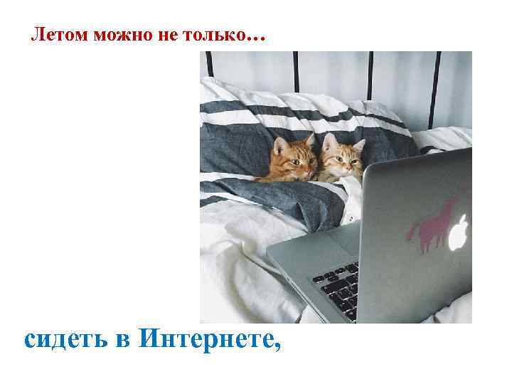 Летом можно не только… сидеть в Интернете, 