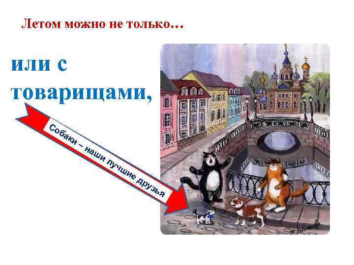 Летом можно не только…  или с товарищами, Со ба   ки 