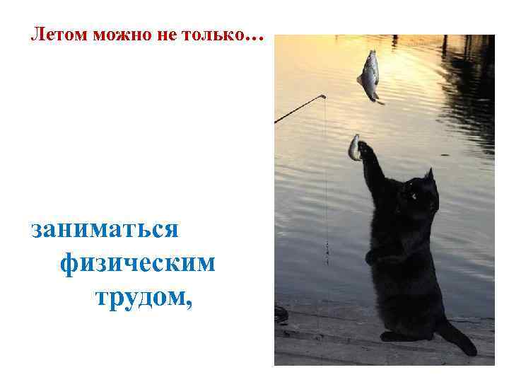Летом можно не только… заниматься  физическим трудом, 