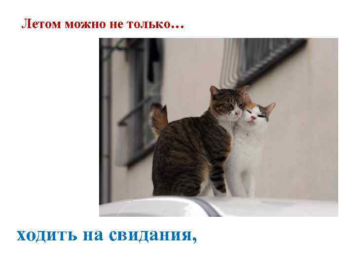 Летом можно не только… ходить на свидания, 