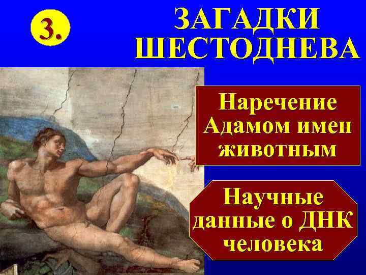 3. ЗАГАДКИ ШЕСТОДНЕВА   Наречение   Адамом имен   животным 