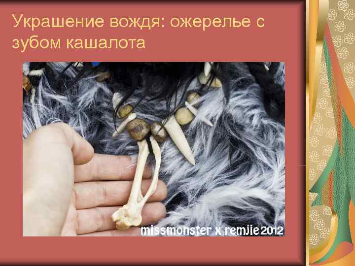 Украшение вождя: ожерелье с зубом кашалота 