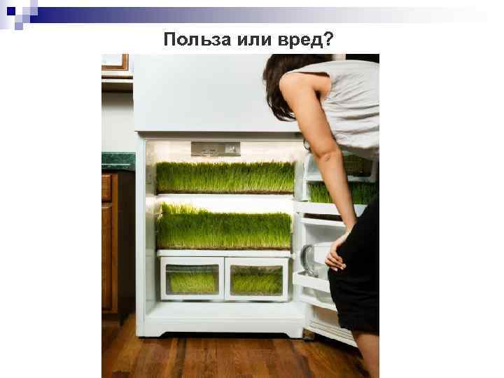 Польза или вред? 