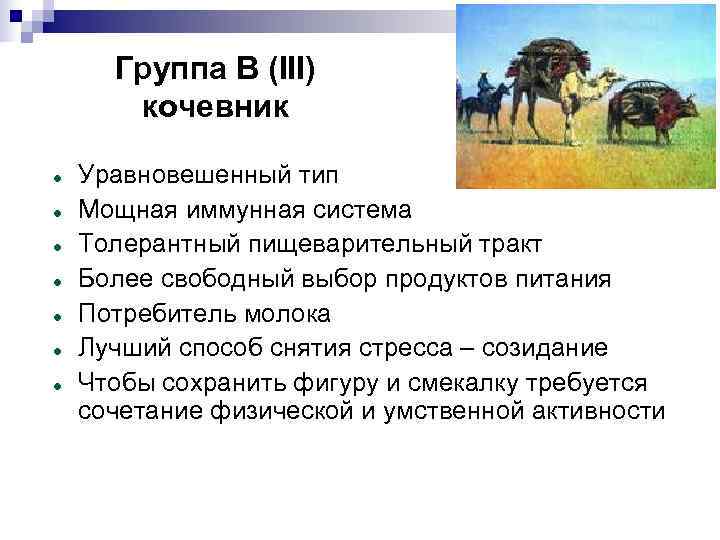  Группа В (III)  кочевник Уравновешенный тип Мощная иммунная система Толерантный пищеварительный тракт