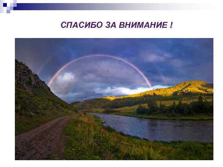 СПАСИБО ЗА ВНИМАНИЕ ! 