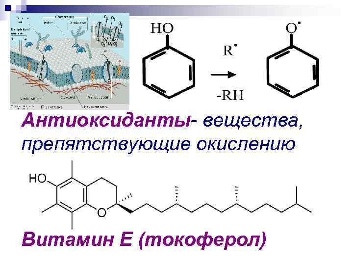 Антиоксиданты- вещества, препятствующие окислению  Витамин Е (токоферол) 