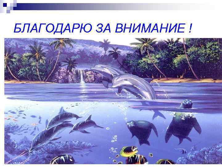 БЛАГОДАРЮ ЗА ВНИМАНИЕ ! 