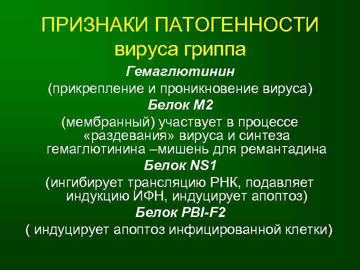  ПРИЗНАКИ ПАТОГЕННОСТИ  вируса гриппа    Гемаглютинин (прикрепление и проникновение вируса)