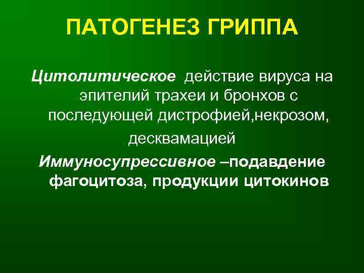   ПАТОГЕНЕЗ ГРИППА Цитолитическое действие вируса на  эпителий трахеи и бронхов с