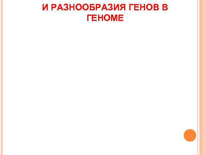 И РАЗНООБРАЗИЯ ГЕНОВ В   ГЕНОМЕ 