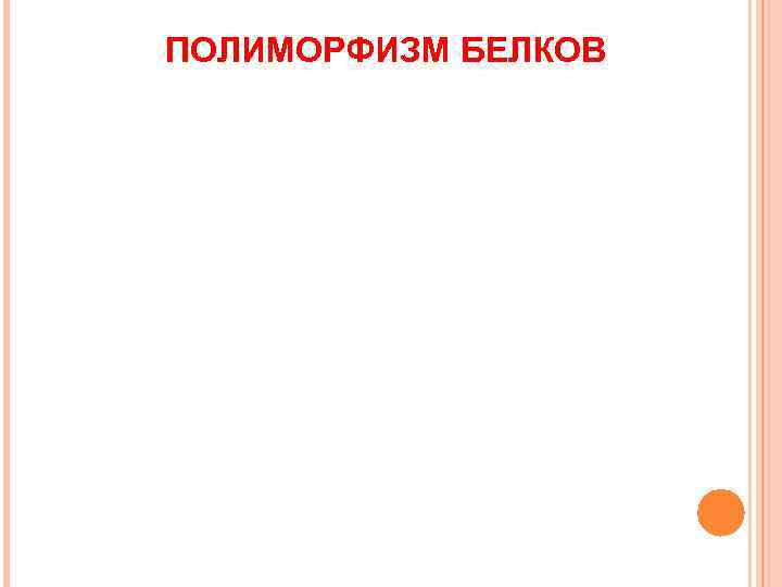 ПОЛИМОРФИЗМ БЕЛКОВ 