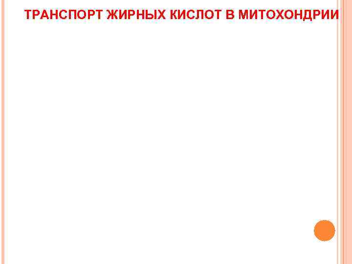 ТРАНСПОРТ ЖИРНЫХ КИСЛОТ В МИТОХОНДРИИ 