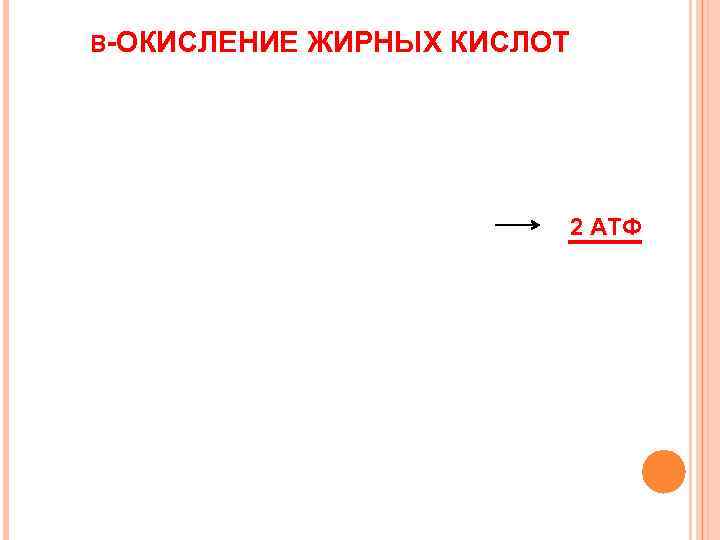 Β-ОКИСЛЕНИЕ  ЖИРНЫХ КИСЛОТ      2 АТФ 