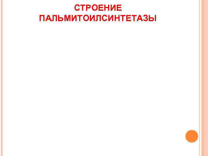  СТРОЕНИЕ ПАЛЬМИТОИЛСИНТЕТАЗЫ 