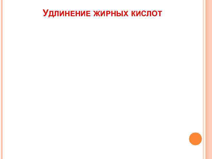 УДЛИНЕНИЕ ЖИРНЫХ КИСЛОТ 