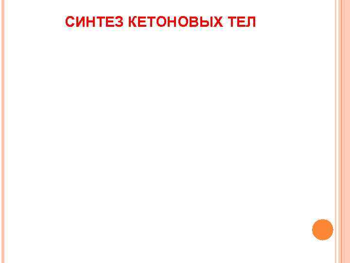 СИНТЕЗ КЕТОНОВЫХ ТЕЛ 