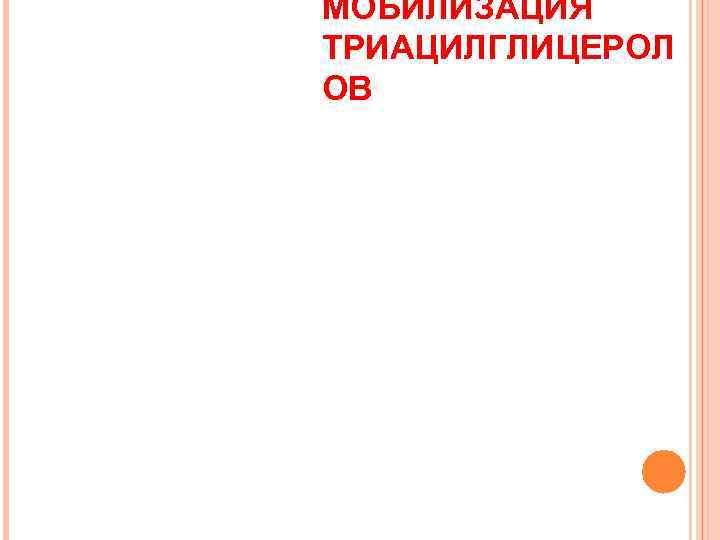 МОБИЛИЗАЦИЯ ТРИАЦИЛГЛИЦЕРОЛ ОВ 