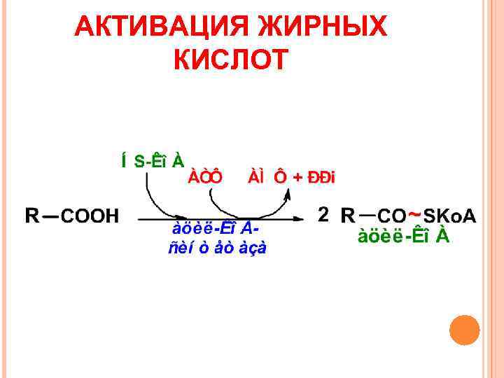 АКТИВАЦИЯ ЖИРНЫХ КИСЛОТ 