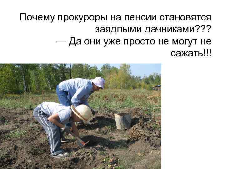 Почему прокуроры на пенсии становятся    заядлыми дачниками? ? ?  