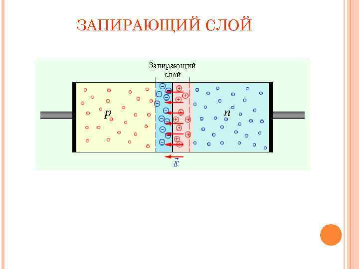ЗАПИРАЮЩИЙ СЛОЙ 