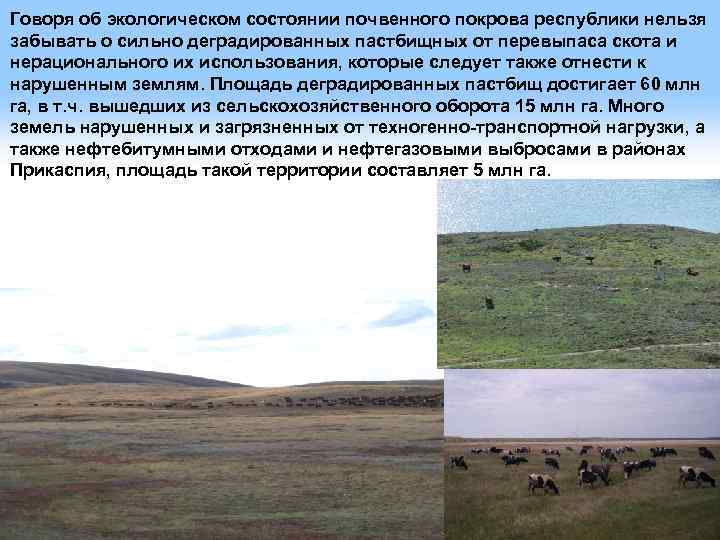 Говоря об экологическом состоянии почвенного покрова республики нельзя забывать о сильно деградированных пастбищных от