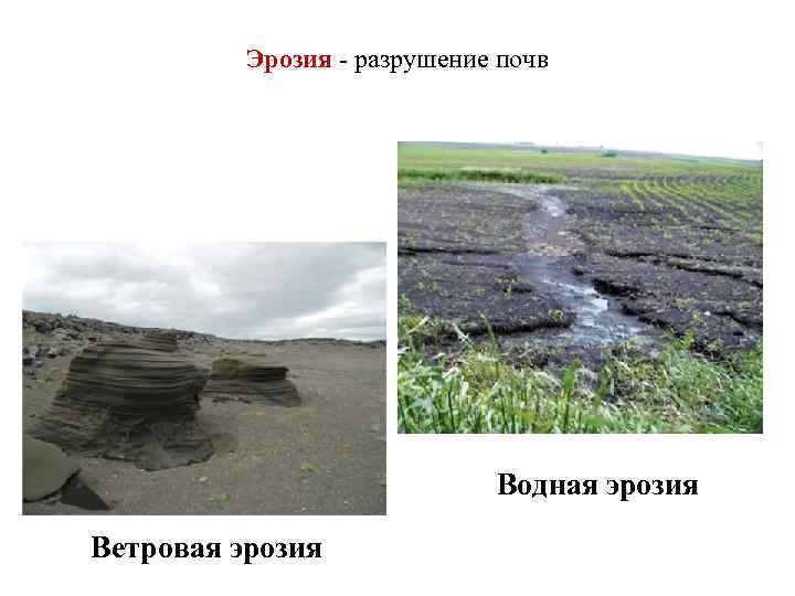    Эрозия - разрушение почв       Водная