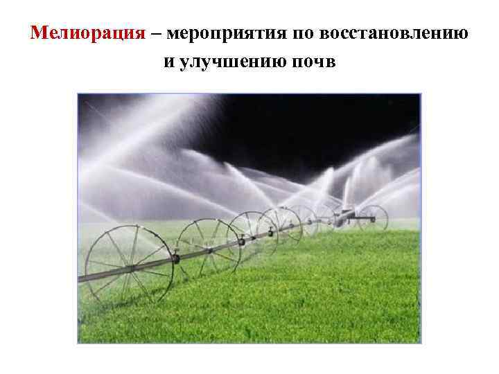 Мелиорация – мероприятия по восстановлению   и улучшению почв 