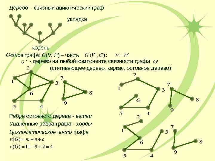 Ребра дерева