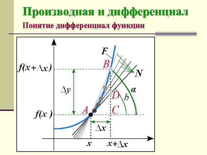 Производная и дифференциал