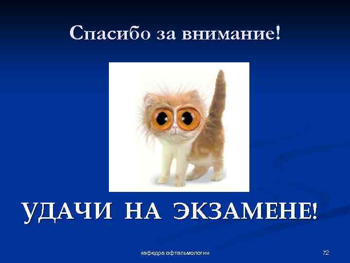 Спасибо за внимание! УДАЧИ НА ЭКЗАМЕНЕ! кафедра офтальмологии 72 