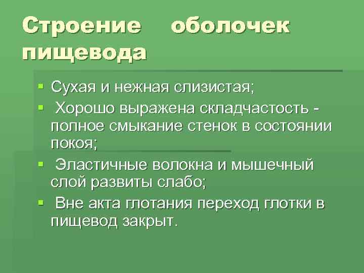 Строение  оболочек  пищевода § Сухая и нежная слизистая;  § Хорошо выражена