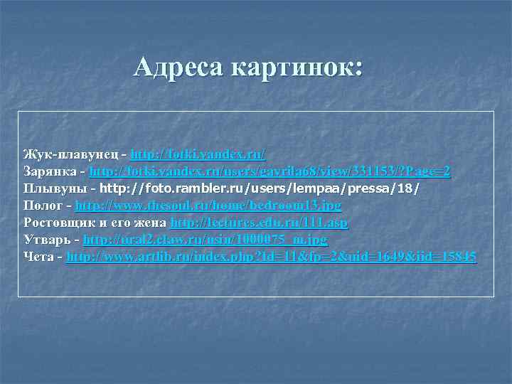     Адреса картинок:  Жук-плавунец - http: //fotki. yandex. ru/ Зарянка