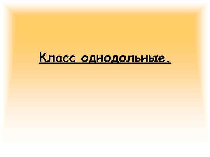 Класс однодольные. 