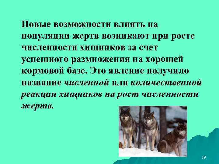 Новые возможности влиять на популяции жертв возникают при росте численности хищников за счет успешного