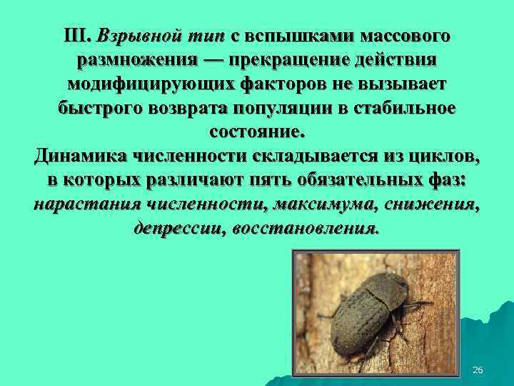   III. Взрывной тип с вспышками массового размножения — прекращение действия  модифицирующих