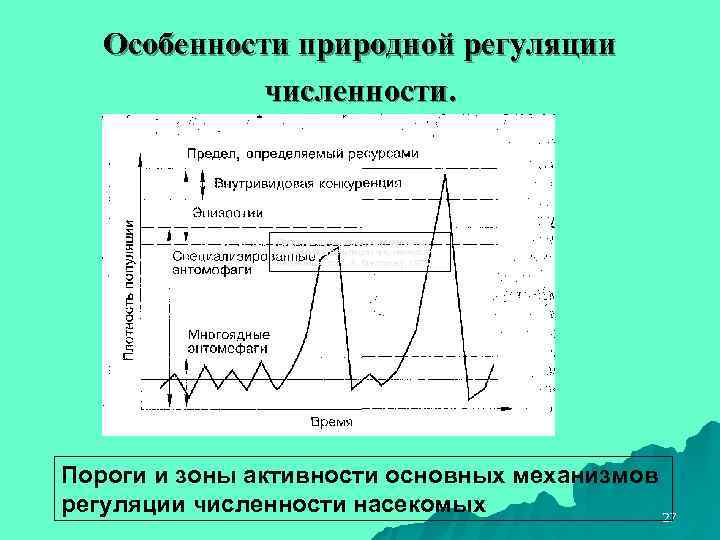   Особенности природной регуляции   численности.     Пороги и
