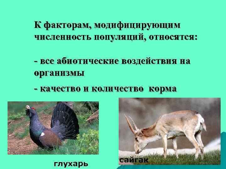 К факторам, модифицирующим численность популяций, относятся:  - все абиотические воздействия на организмы -