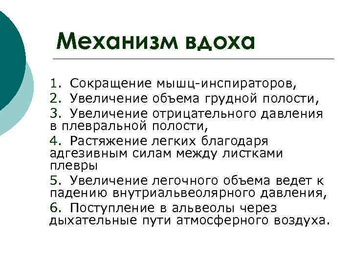 Механизм вдоха 1. Сокращение мышц-инспираторов, 2. Увеличение объема грудной полости, 3. Увеличение отрицательного давления